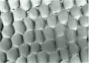 HAMMERED No.2