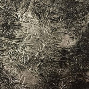 Silver Fern Monet Glass