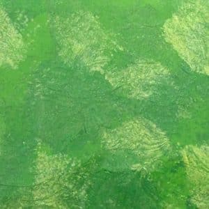 Forest Meadow Monet Glass