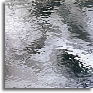 Spectrum Water Glass - Clear