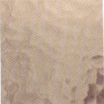 Light Bronze Corrella