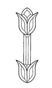 Tulip With Stem and Leaves