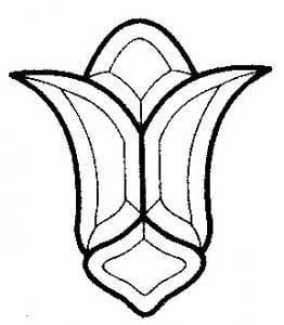 4 Piece large tulip top